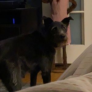 Meet your Posher, Sam